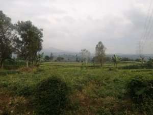 JUAL CEPAT TANAH CIMAUNG BANDUNG SELATAN lokasi di Cimaung, tersedia melalui melalui situs Olx