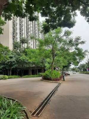 Jual Rugi BU Cepat Apartemen Podomoro Golf View lokasi di Tapos, tersedia melalui melalui situs Olx