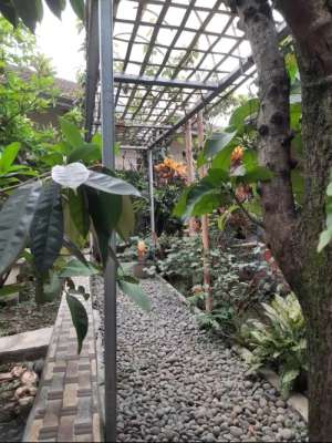 jual rumah secondry luas ciapus lokasi di Ciomas, tersedia melalui melalui situs Olx