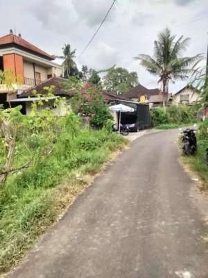Jual Tanah 4 Are di Tegal Jadi Sanggulan Tabanan lokasi di Denpasar Barat, tersedia melalui melalui situs Olx