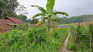 Jual Tanah di Cangkuang Kabupaten Bandung lokasi di Cangkuang, tersedia melalui melalui situs Olx