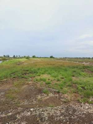 Jual Tanah Indramayu Jawa Barat Sudah Urug lokasi di Indramayu, tersedia melalui melalui situs Olx