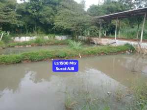 Jual tanah kebun dan kolam ikan aktip Arco ragamukti sawangan bgr lokasi di Ciputat, tersedia melalui melalui situs Olx