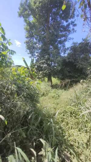 Jual Tanah Komersial Strategis Pinggir Jalan Raya di Parung Panjang lokasi di Parung Panjang, tersedia melalui melalui situs Olx