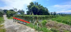 JUAL TANAH SAWAH PRODUKTIF GONDANG TALUN BLITAR lokasi di Talun, tersedia melalui melalui situs Olx