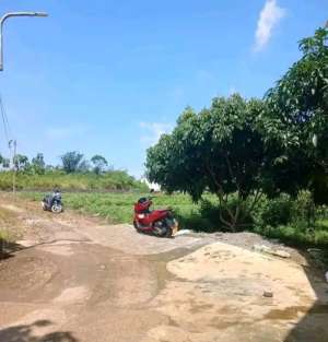 Kami Tawarkan Tanah kampung muriiihLokasi Mangunsari UNNES lokasi di Gunungpati, tersedia melalui melalui situs Olx