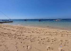 Land 10,63 are premium exotic beach For sale, Batu Belig area lokasi di Kuta Utara, tersedia melalui melalui situs Olx