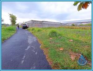 Lingkungan Asri, Pas Untuk Hunian Nyaman di Palagan Sleman lokasi di Ngaglik, tersedia melalui melalui situs Olx