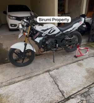 Jual bekas Ninja SS Albino basic Ninja R,lokasi di Blora kota