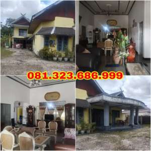 Putri Karindang dkt Obos Thamrin Soekarno Diponegoro Adonis Milono lokasi di Sebangau, tersedia melalui melalui situs Olx