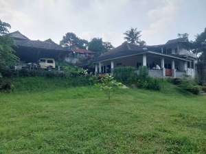 Rumah Bagus Luas Asri Murah Harga Dibawah Pasaran View Sawah Di Ciomas lokasi di Ciomas, tersedia melalui melalui situs Olx