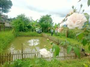 RUMAH BALONG MASUK MOBIL DI CIMAUNG BANJARAN lokasi di Cimaung, tersedia melalui melalui situs Olx