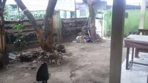 Rumah Cocok Untuk Tempat Usaha di Jalan Cicalengka Majalaya lokasi di Cicalengka, tersedia melalui melalui situs Olx