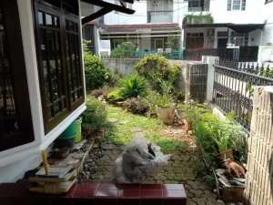 Rumah hoek,tanah luas di Jatibening Estate Bekasi lokasi di Jatimakmur, tersedia melalui melalui situs Olx