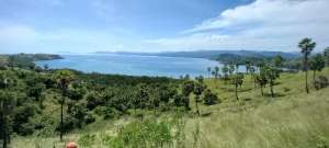 TANAH 3 HA DI TELUK WAECICU TIMUR LABUAN BAJO lokasi di Komodo, tersedia melalui melalui situs Olx