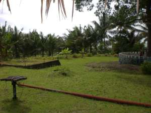 Tanah di Anyer dengan Pemandangan Indah lokasi di Anyar, tersedia melalui melalui situs Olx