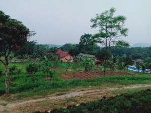 Tanah Di Parung Bogor Harga Menarik Cocok Investasi lokasi di Parung, tersedia melalui melalui situs Olx