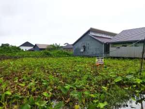 Tanah di Pusat Kota Sangat Strategis Kemana saja lokasi di Banjarmasin Timur, tersedia melalui melalui situs Olx