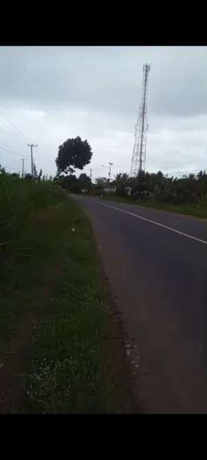 Tanah Dijual Cepat Di Jalan Lintas Sumatera Sidomulyo Lampung Selatan lokasi di Sidomulyo, tersedia melalui melalui situs Olx