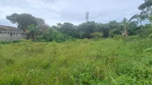 Tanah Kavling Murah, Area dekat Taman Buah Mekarsari. SHM lokasi di Cileungsi, tersedia melalui melalui situs Olx