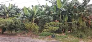 Tanah kavling perumahan murah Tulangan lokasi di Buduran, tersedia melalui melalui situs Olx