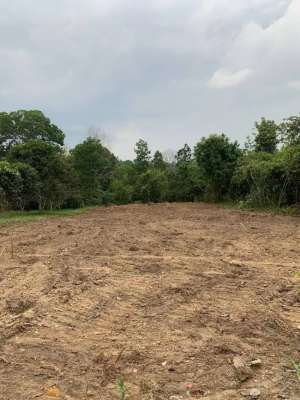 Tanah kavling untuk investasi bangun kost kawasan pendidikan lokasi di Jambi Luar Kota, tersedia melalui melalui situs Olx