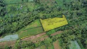 Tanah kebun cocok untuk eco villa pilan kerta payangan ubud bali lokasi di Payangan, tersedia melalui melalui situs Olx