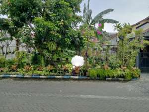 Tanah luas 200 m2 harga 650 juta di Tropodo, Waru, Sidoarjo lokasi di Waru, tersedia melalui melalui situs Olx