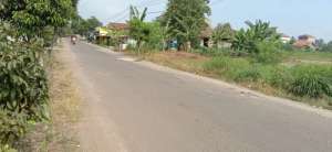 Tanah luas 2.000 di Ganjar Agung Metro Barat, 1,7 Miliar lokasi di Metro Timur, tersedia melalui melalui situs Olx