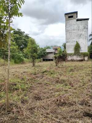 Tanah Luas Murah Kalimantan Tengah lokasi di Kapuas Hulu, tersedia melalui melalui situs Olx