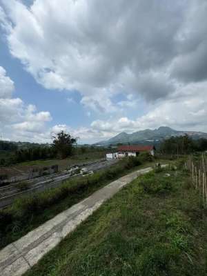 Tanah malang pujon 20 hektar 400 ribu saja lokasi di Kedungkandang, tersedia melalui melalui situs Olx