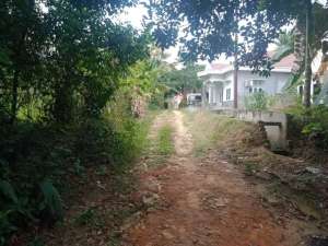 Tanah Murah di Tengah Kota Jambi lokasi di Dawar Blandong, tersedia melalui melalui situs Olx