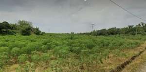 Tanah murah hadap timur lokasi di Medan Deli, tersedia melalui melalui situs Olx