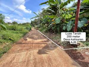 TANAH MURAH KAMPUNG STRATEGIS DI DESA KALISUREN TAJURHALANG BOGOR lokasi di Parung, tersedia melalui melalui situs Olx