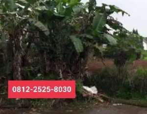 Tanah murah luas 455m perum nyaman Cipanas Cianjur JT lokasi di Cipanas, tersedia melalui melalui situs Olx