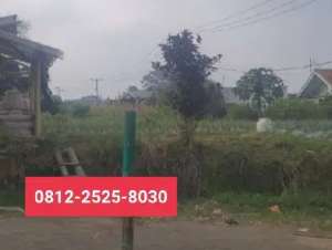 Tanah murah luas 675m di komplek cantik Cipanas Cianjur JT lokasi di Cipanas, tersedia melalui melalui situs Olx