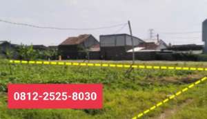 Tanah murah luas 800m di Mranggen Demak MD lokasi di Mranggen, tersedia melalui melalui situs Olx