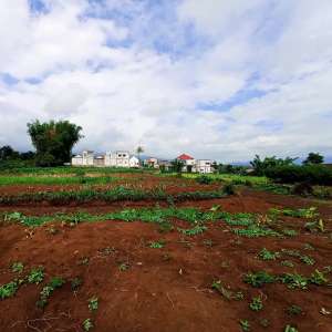 Tanah Murah Sumbersekar, Dau, Malang lokasi di Dau, tersedia melalui melalui situs Olx