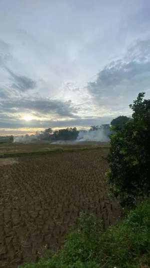 Tanah Padat Sawah di Daerah Legok Tangerang lokasi di Legok, tersedia melalui melalui situs Olx
