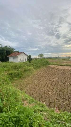 tanah padat sawah di Legok lokasi di Legok, tersedia melalui melalui situs Olx