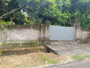 TANAH PINGGIR JALAN 6 ARE LC DAUH WARU, JALAN TERNATE JEMBRANA BALI lokasi di Jembrana, tersedia melalui melalui situs Olx