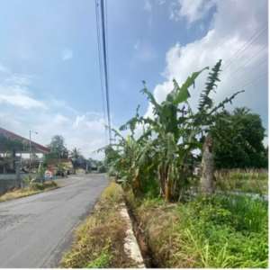 Tanah Pinggir Jalan Di Jakal Cangkringan lokasi di Ngemplak, tersedia melalui melalui situs Olx