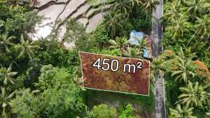 Tanah Plot Kecil View Sawah Dekat Capella Ubud Bali lokasi di Tegallalang, tersedia melalui melalui situs Olx