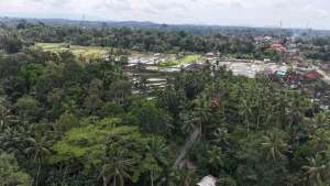 Tanah Plot Kecil View Sawah Dekat Capella Ubud Bali lokasi di Ubud, tersedia melalui melalui situs Olx