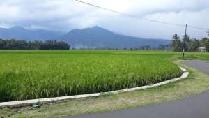 TANAH SIAP BANGUN STRATEGIS POTENSIAL BISNIS lokasi di Ambarawa, tersedia melalui melalui situs Olx