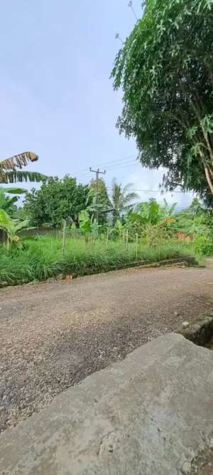 Tanah termurah di bogor selatan tasnim lokasi di Ciampea, tersedia melalui melalui situs Olx