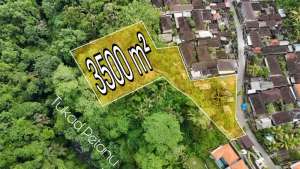 Ubud Serenity Land Jungle ValleyRiver For Sale Pejeng Ubud Bali lokasi di Ubud, tersedia melalui melalui situs Olx