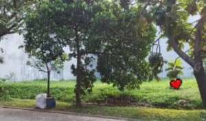 D jual kavling manyar permai pik lokasi di Pantai Indah Kapuk, tersedia melalui melalui situs Olx