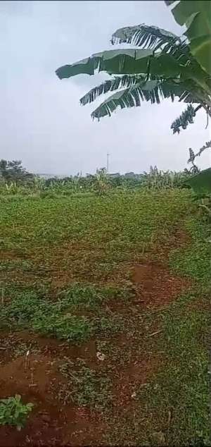 di jual tanah kebun subur dekat Lido cigombong lokasi di Cigombong, tersedia melalui melalui situs Olx