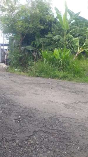 Di kontrakan tanah jalan Sedap malam, Denpasar, Bali lokasi di Denpasar Selatan, tersedia melalui melalui situs Olx